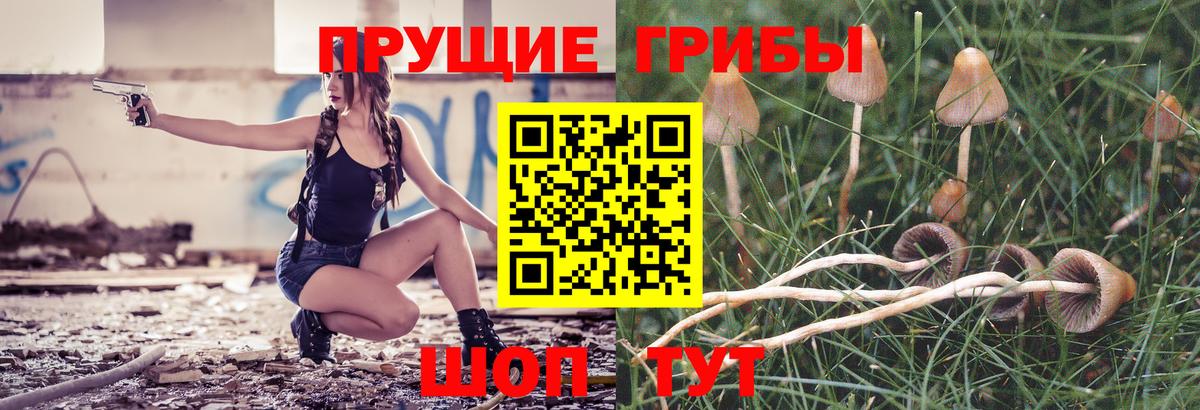 Галлюциногенные грибы прущие грибы Армавир