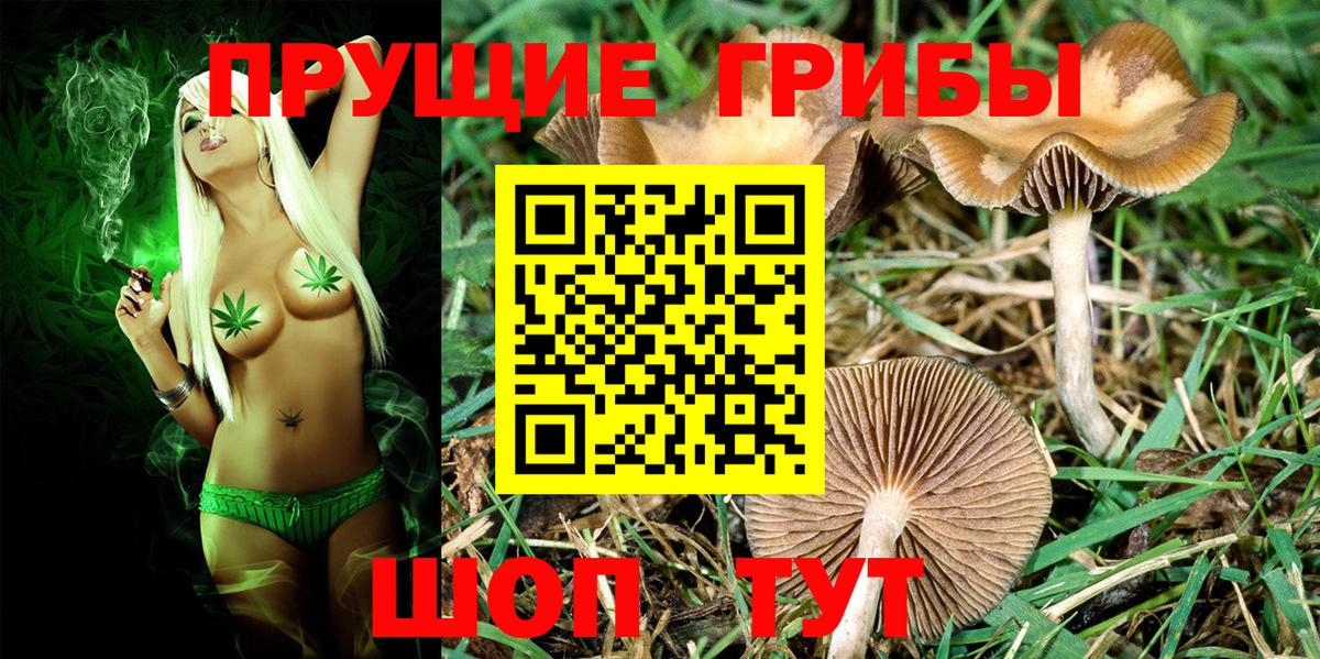 Армавир  Псилоцибиновые грибы прущие грибы  Вход с VPN 
